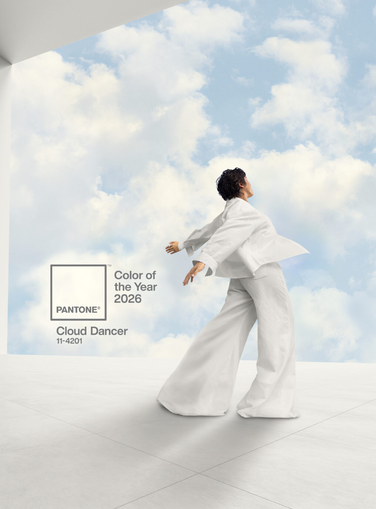 Pantone 2026