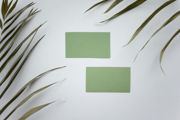 combinações com verde água