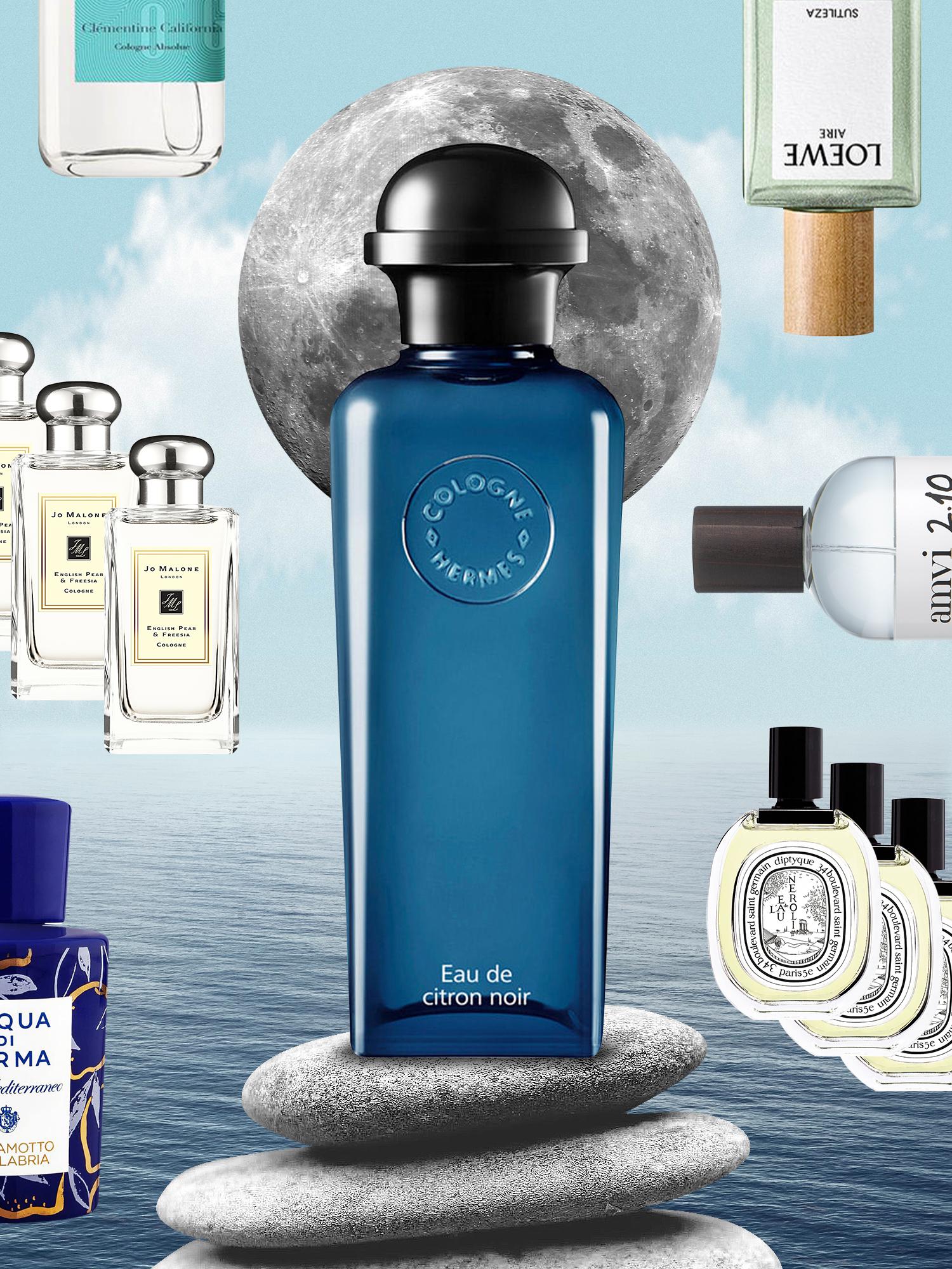 melhores perfumes frescos 2026