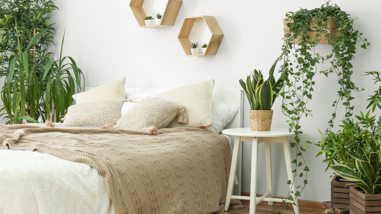 plantas para quarto com animais de estimação