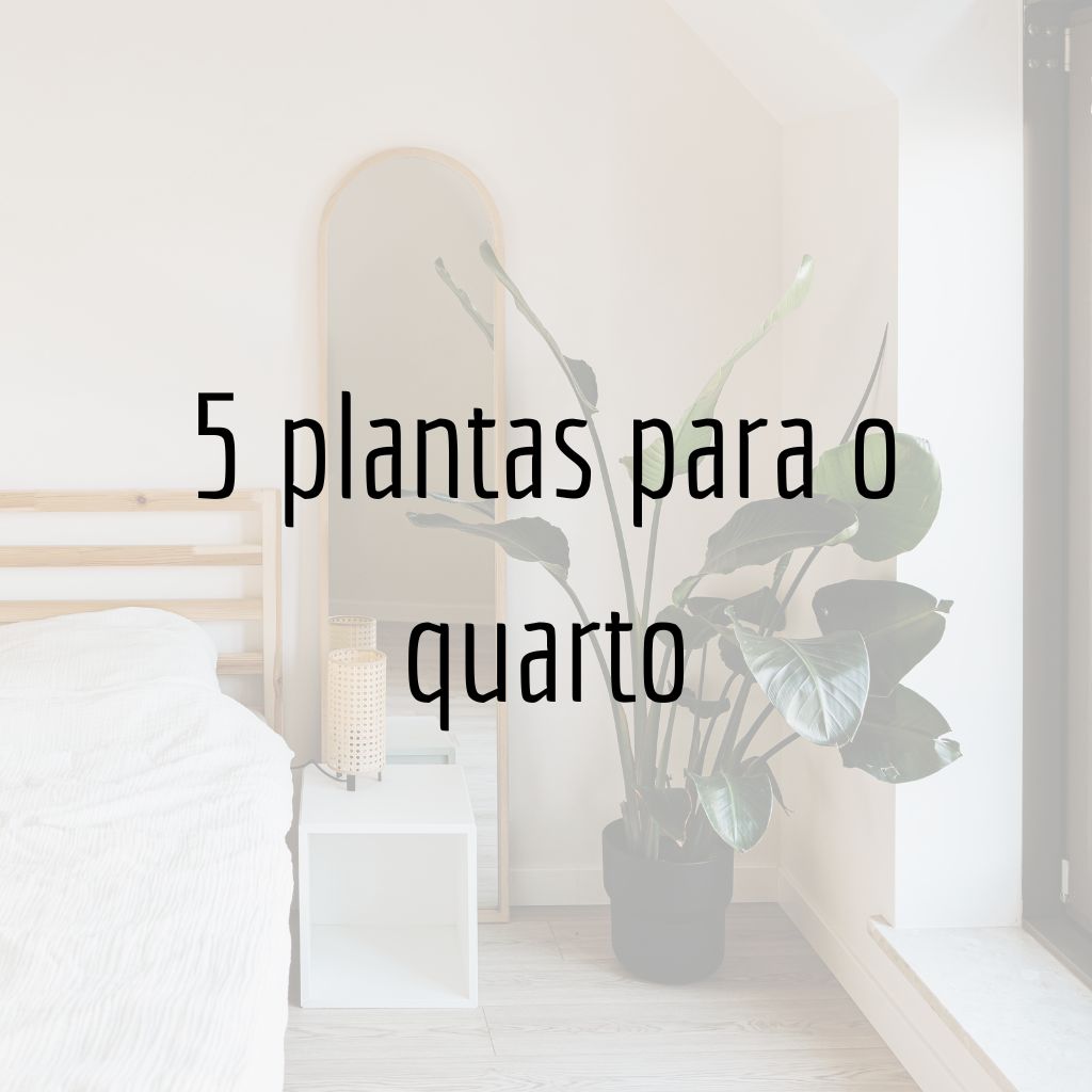 benefícios de ter plantas no quarto