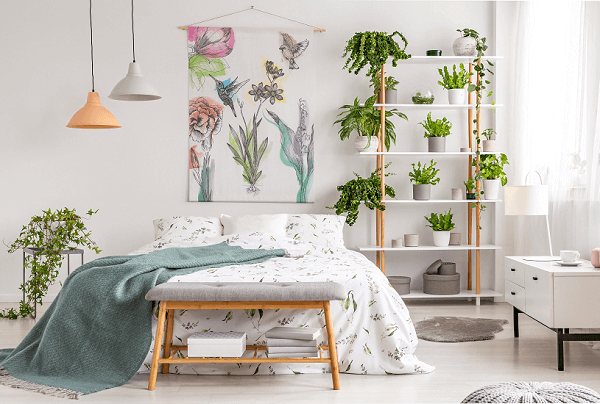 melhores plantas para melhorar o sono