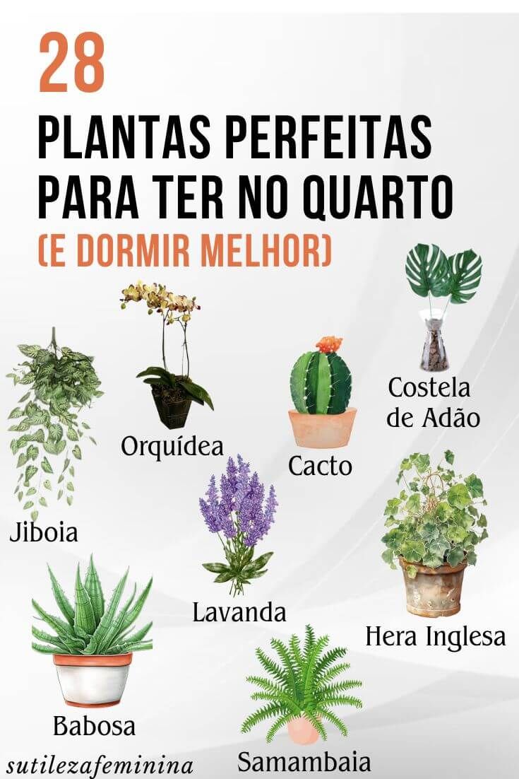 plantas fáceis de cuidar para quarto