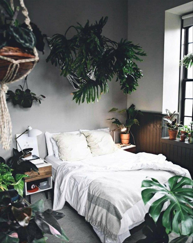 plantas para quarto pequeno